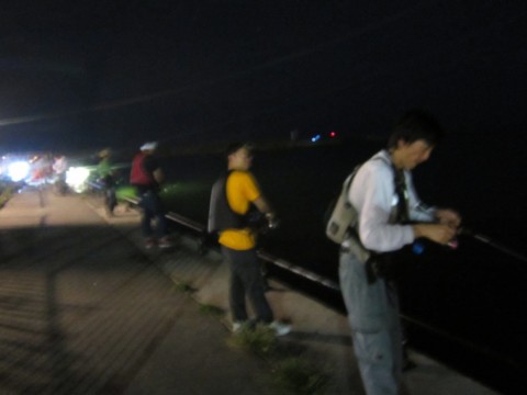6nemycspcogx4pv6supf_480_480-49b46ad4.jpg