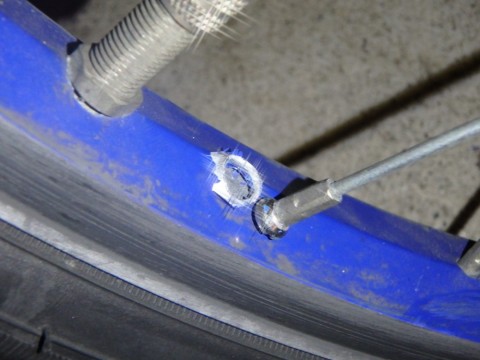 6nh825c4uofwnnwgu867_480_480-75789321.jpg