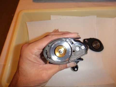 6nr59nhmkcmcvy6nxff7_480_480-7899877e.jpg