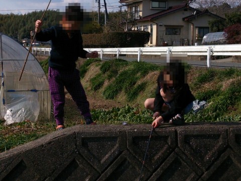 6ntowrzrfxsjreckz9u7_920_690-bc8f5147.jpg