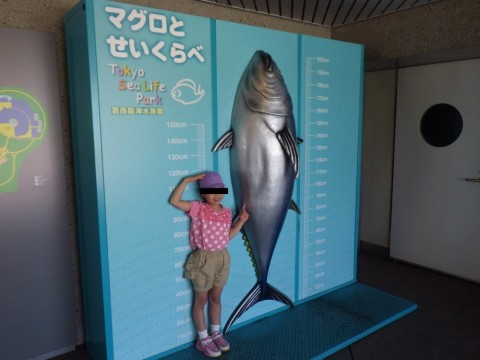 6nv4nt56daiozp8iekyx_480_480-9aa7a942.jpg