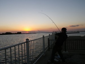 6nv545k4fk2nzzurf9t4-bb45207e.jpg