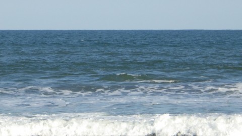 6otwsshrpepfbtvarojd_480_480-66b9589f.jpg