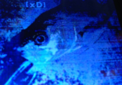 6ouapiby9yhe2twm9bk5_920_644-9d73f397.jpg