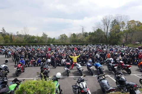 6p3ke5fwr6pkmw399ebi_480_480-b447f6cd.jpg