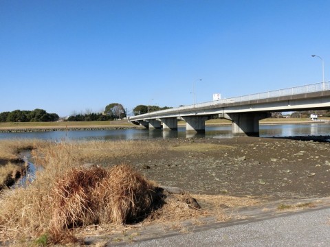 6pdyhfxzjvvo5p2n36ym_480_480-5f779845.jpg