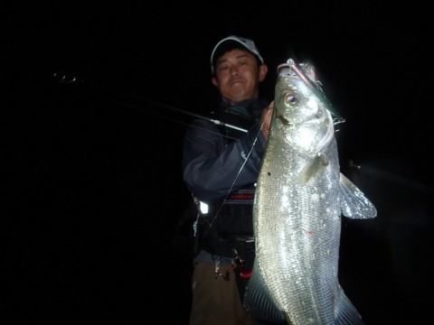 6ph8cjy6weue5dfe8sea_480_480-9df789ca.jpg