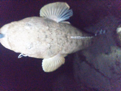 6pwwazfiazsdzr5bw32n_920_690-7eb85c82.jpg