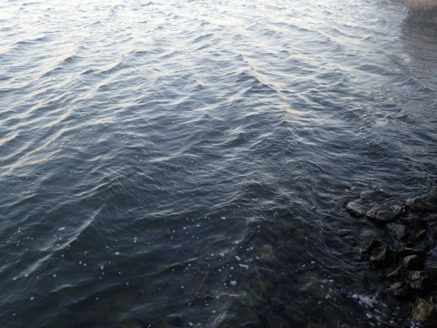 6radr2ofu2v6cccjjnjk_480_480-29337ec2.jpg