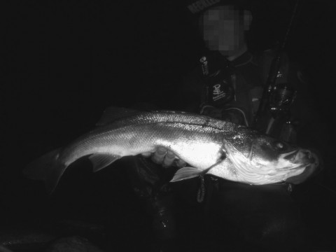 6rdu4b5dov6k2banv8wv_480_480-cb6161e0.jpg