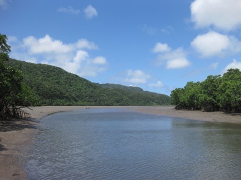 6resbkg5twtpgjh8472b_920_690-a0f0f1c8.jpg