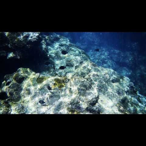6rk6cp2ey5e8rdjnuafi_920_920-683c9a6b.jpg