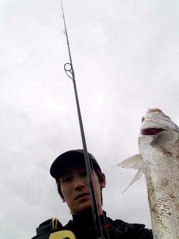 6rspbfd29bpevshvpkzr_480_480-bb1681af.jpg