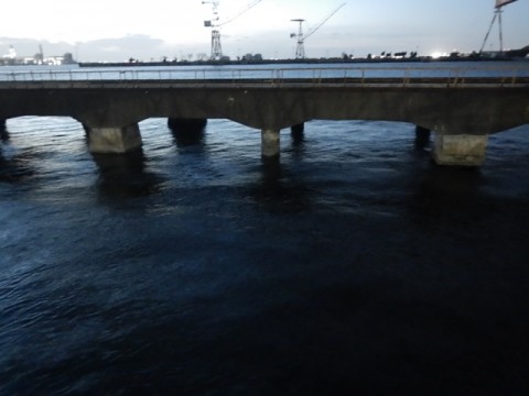 6rwz8dbr2rrg6uya3x7w_480_480-2d84a57d.jpg