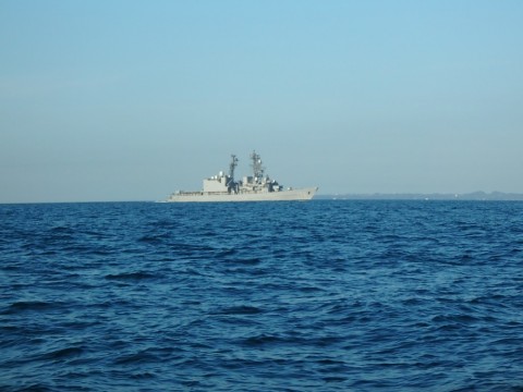6sa58srjucord6dzz3gw_480_480-02879b9f.jpg