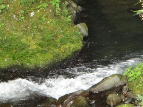 6smnc5s5zht9smedxvit_640_480-848d9305.jpg