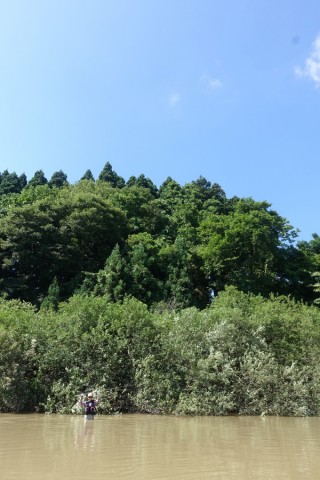 6tsujiwn2f45v8xzrhxi_480_480-c1b95d5a.jpg