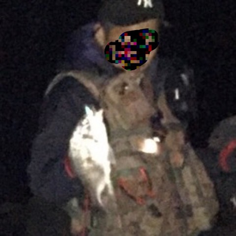 6ua3yup3myd4hjmt9ezo_920_920-ed41daa6.jpg