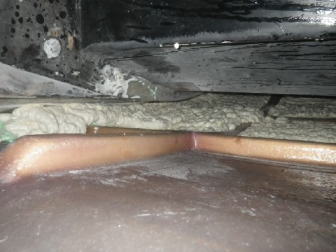6uc5v8w35zfytdveft3b_480_480-f4151756.jpg