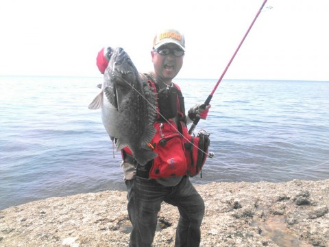 6ukokd4um3pm9yoycy3n_920_690-cb98ec20.jpg