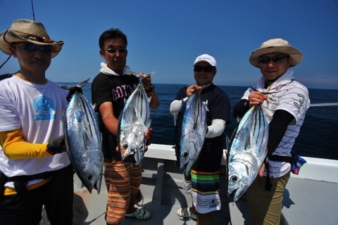 6vs3e45im42txfx4tcme_480_480-2179ed5a.jpg