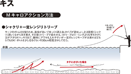 Tictスタッフブログ Mキャロでチョイ投げ