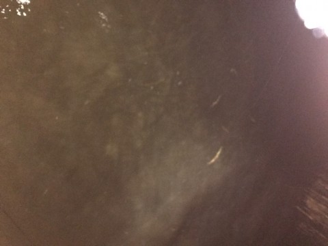 6waugpcpwyj3xt8zrxc6_920_690-030137dc.jpg