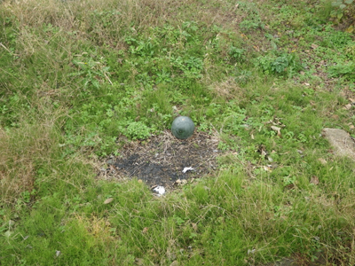 6wuG4skH6ecxmpk3bAuS-1d835cd0.jpg