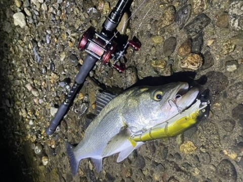 ベイトで陸っぱり】 Gクラフト ベイトロッド モンスタージェッティー1002TR