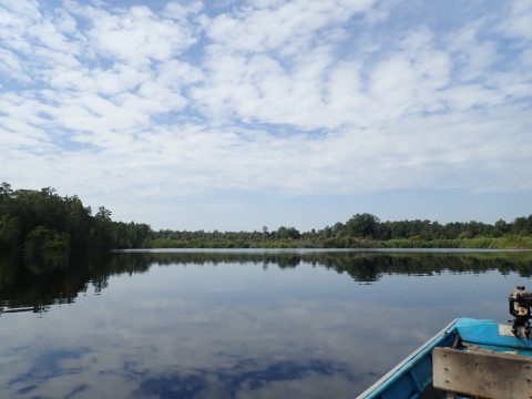 6x36xebvmxyhb3ionc47_480_480-d41e93be.jpg