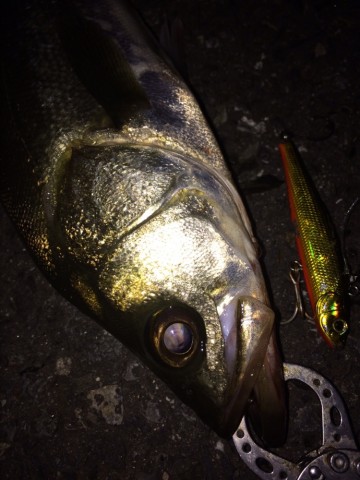 6x626coy5fbhrd6pfd68_690_920-62c25abd.jpg