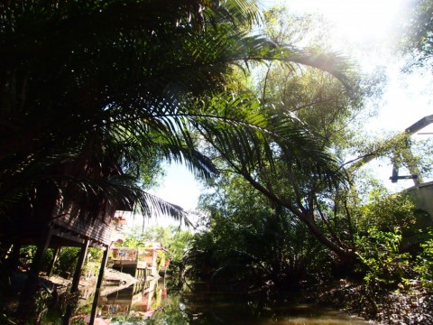6xa99ajdnnhrzn7ukb64_480_480-18471f91.jpg