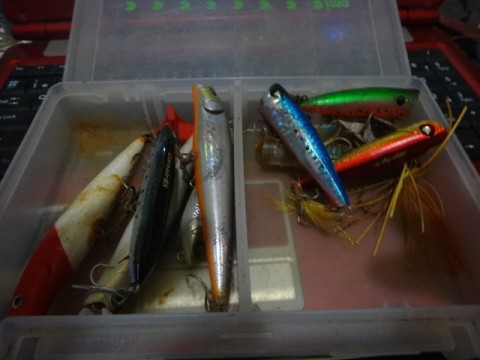 6xcb896ext39go928cyi_480_480-2c1db9f9.jpg