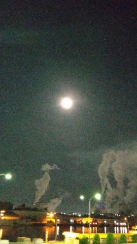 6y524x9wmrv8a22o2ta6_480_480-7747b665.jpg