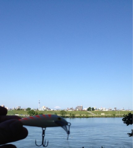 6ycbntaiadhpbgngrvxu_825_920-8c9635d0.jpg