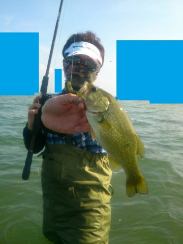 6yd9kyvw77zycdjnej63_480_480-09932779.jpg