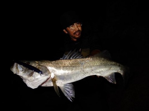 6yjadtip5nfmp3sw48ut_480_360-48c2557c.jpg