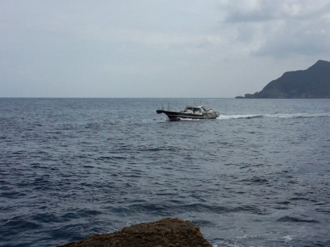 6zcryudrxmcxahmogk8a_480_480-0f36f3d9.jpg