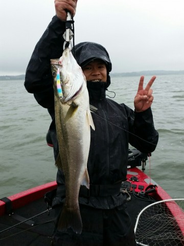 6zs3hwcbbjvsh3v954c8_690_920-71abcdac.jpg