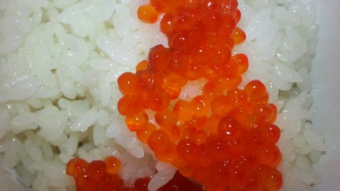 6zvs7kuy8eg75gpbx5s2_920_518-73972d5a.jpg
