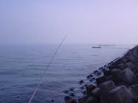 724gp6fb6jzs697fmxf3_480_480-1cf5f117.jpg
