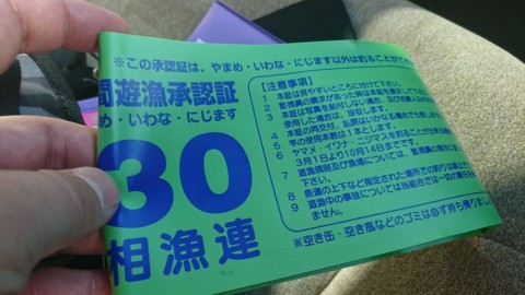 72i6c3bgsg57wb8fywwa_480_480-f9eab58b.jpg
