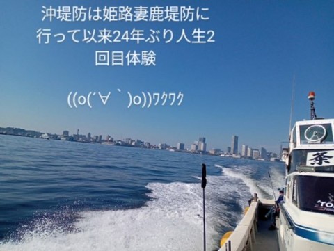 72o58nsf6jrpka38dcdm_480_361-81af9896.jpg
