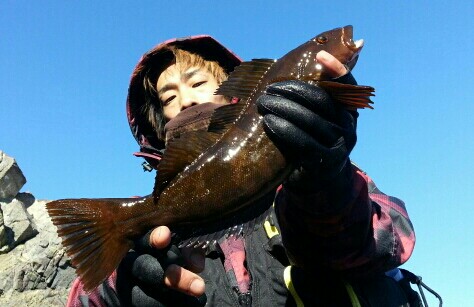 72twwotmzvddd54vn8u8_474_307-e5e5ed71.jpg