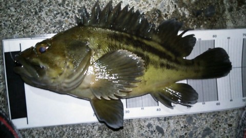 72yf9dp8ukcd6f9uvsg6_920_518-11cc06d7.jpg