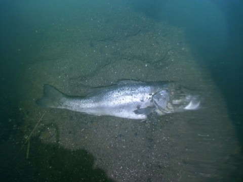 733rgr4yucsgohuhtdgg_920_690-da847216.jpg