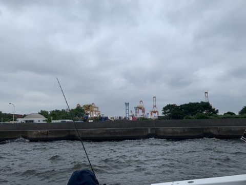73uim4viowc8rfbjdijc_480_361-4fe4d491.jpg