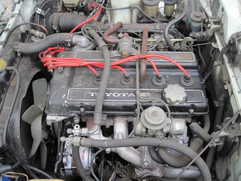 7499pwpuejipdz4uk43i_480_480-a96310e4.jpg