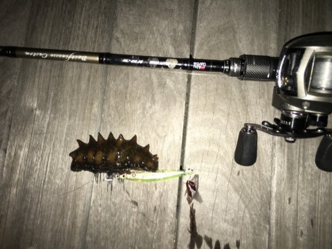 74wyo3j8mk4pduogci62_920_690-6170e324.jpg