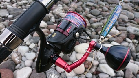 75ggnomo7ohxhta9bkrn_920_518-88b066e1.jpg
